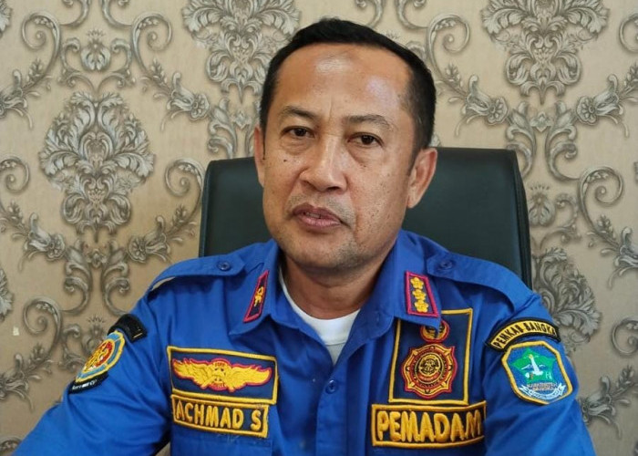 Lahan di Tuing Sudah Enam Hari Api Tak Padam, Kebakaran Lahan di Bangka Capai 300 Hektare 