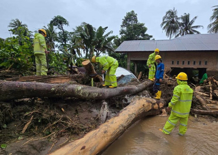 Gubernur Sumbar Apresiasi Kerja PLN Pulihkan Listrik Pascabencana