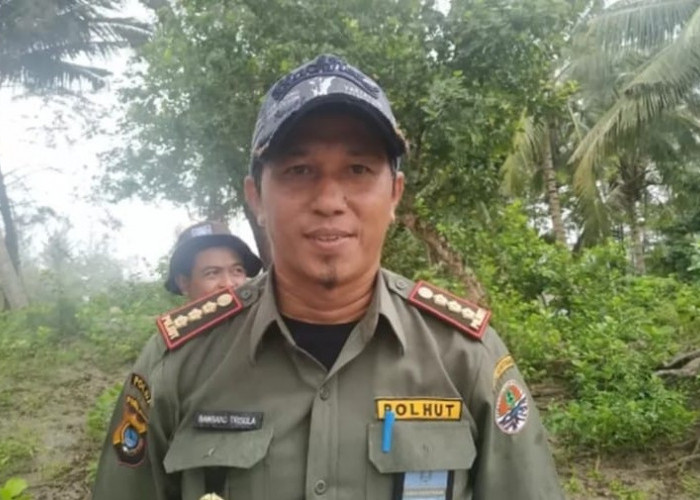 Pejabat Dishut Babel Diperiksa Ramai-Ramai, Bambang Trisula & Mardiansyah Diperiksa Barengan