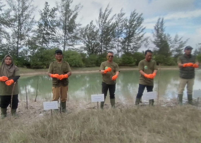 Peringati Hari Lingkungan Hidup Sedunia 2026, PLTU Bangka Tanam 500 Bibit Bakau di Pantai Takari