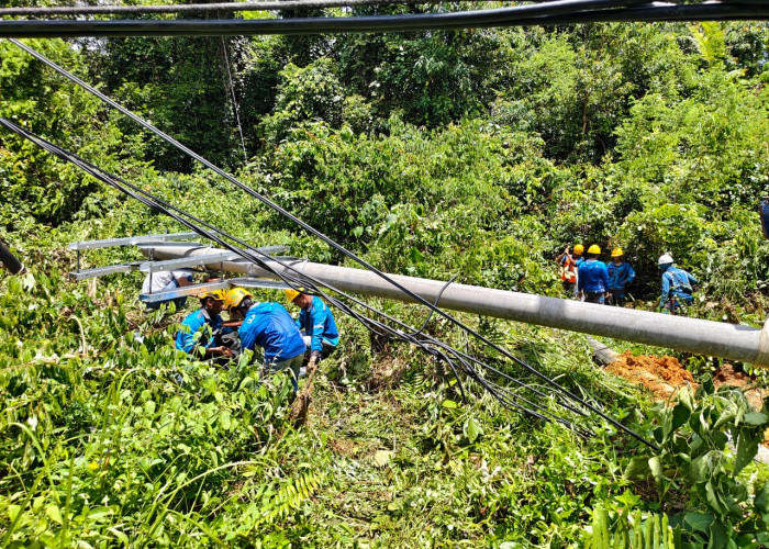 Cuaca Ekstrem Picu Tiang Listrik Roboh di Toboali, PLN Lakukan Pemulihan Cepat