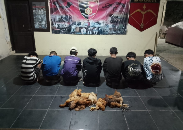 Komplotan Remaja Pencuri Kue dan Ayam Dibekuk Polres Bangka, Hasil Kejahatan Digunakan untuk Narkoba dan Miras
