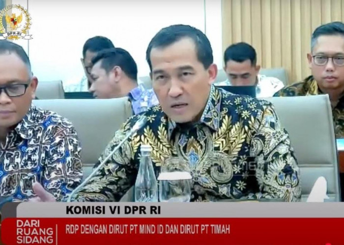 Direktur Utama PT Timah Bersama Komisi VI DPR RI Bahas Cara Atasi Tambang Ilegal 