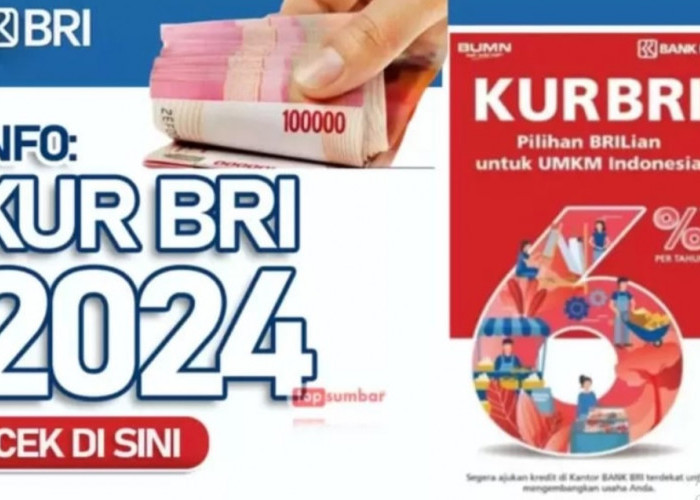 KUR BRI, Jadi 