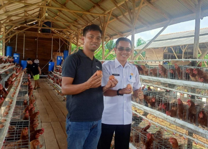 Pemdes Bangkakota Kembangkan Bisnis Telur Ayam untuk PADes, Kurniawan : Inovasi Desa yang Berprestasi