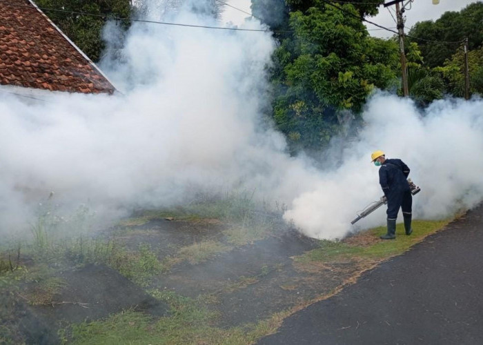 Cegah DBD di Wilayah Operasional Perusahaan, PT Timah Tbk Lakukan Fogging hingga Sosialisasikan 3M