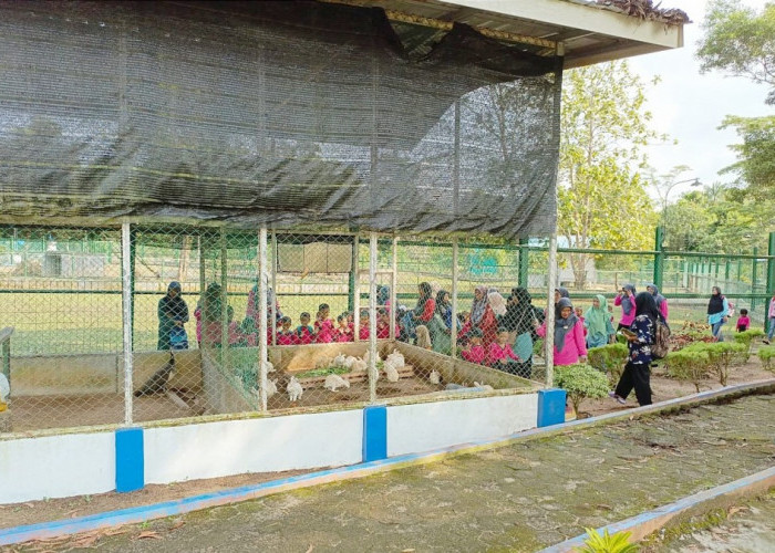 Siswa TK Bina Permata Desa Prayun Bahagia Bisa Belajar dan Melihat Satwa di Taman Kundur PT Timah Tbk