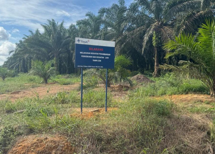 Warga Bulutumbang Protes Tanah Tiba-tiba Masuk IUP Timah, Begini Kata Praktisi Hukum