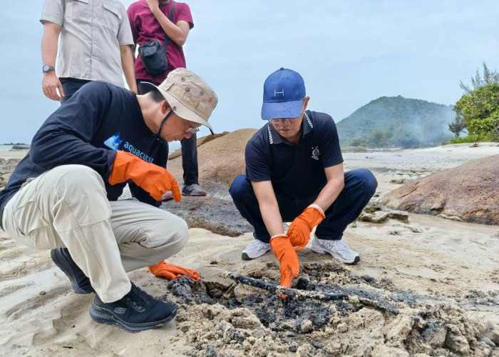 Dukung Program Nasional, Kejari Bateng Gelar Bersih-bersih Pantai Tanjung Berikat