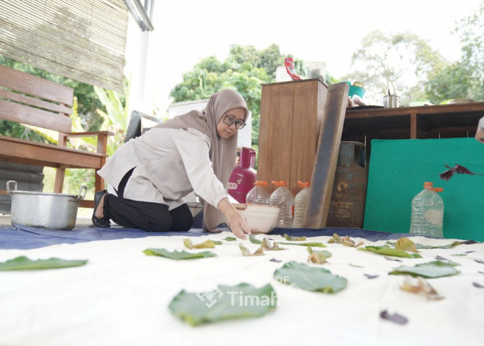PT Timah Hadirkan Dukungan Nyata bagi Perajin, Batik Pakkis Hadirkan Motif Balok Timah 