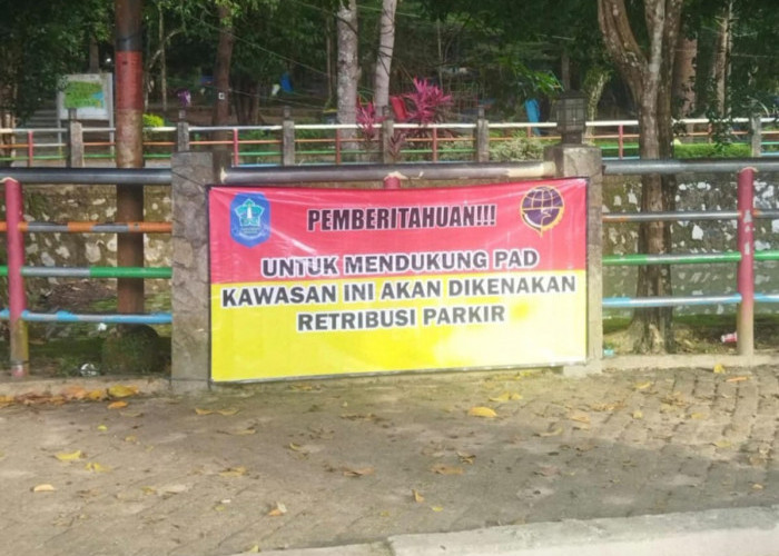 Menggali PAD Bangka: Jangan Hanya Parkirkan Harapan di Lahan Parkir