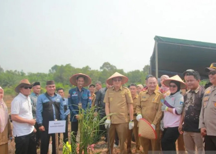 Pemkab Bangka Barat Gandeng Koperasi Remajakan Sawit Rakyat