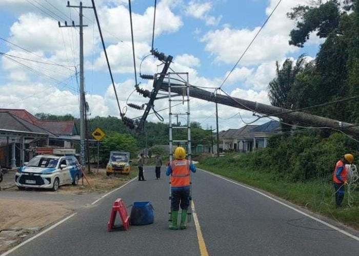 Kapolsek Ungkap Penyebab Avanza Tabrak Tiang Listrik di Ranggas 