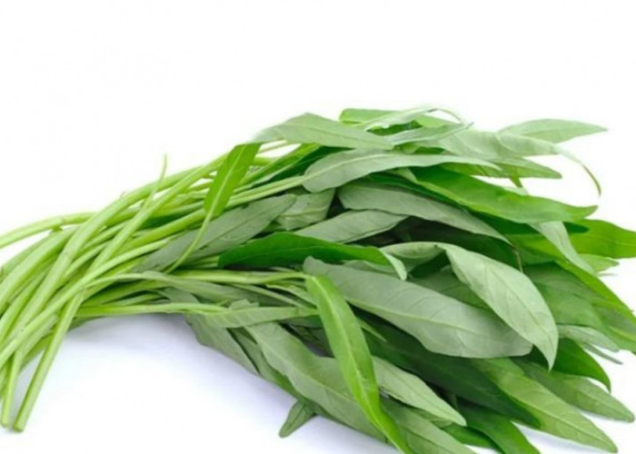 5 Manfaat Kangkung untuk Kesehatan yang Jarang Diketahui