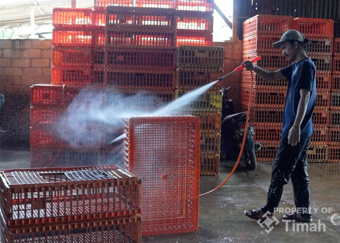 Dukung UMKM Makin Berkembang, PT Timah Tbk Serahkan Mesin Steam untuk Usaha Ayam Potong di Pangkalpinang