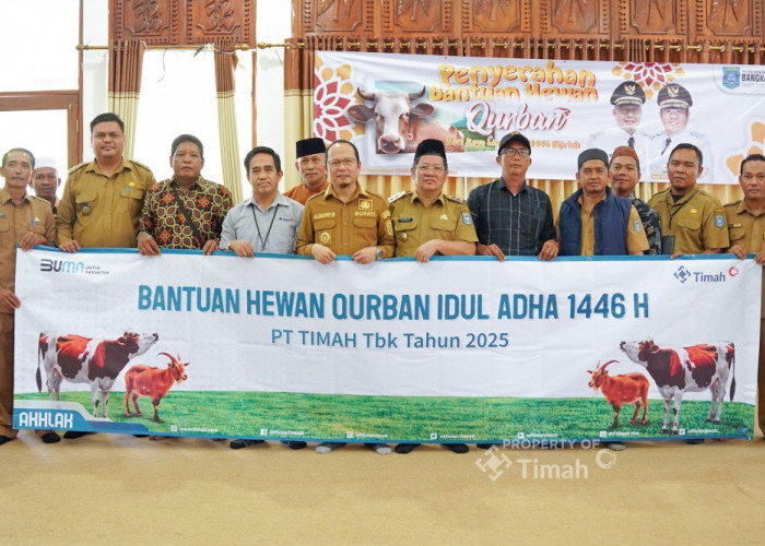 Konsisten Berbagi Hewan Kurban untuk Masyarakat, Bupati Bangka Tengah Apresiasi PT Timah