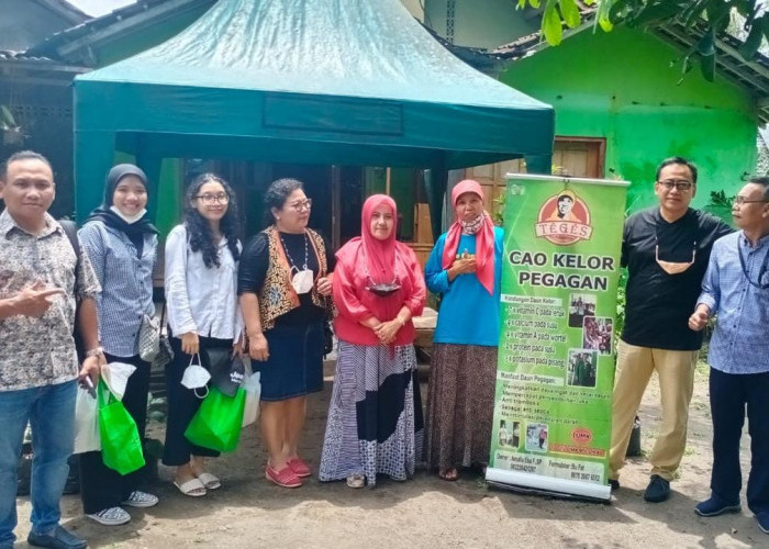 Manfaatkan KUR BRI, Pengusaha Wanita Ini Berhasil Sulap Kelor Jadi Aneka Olahan Pangan yang Digemar