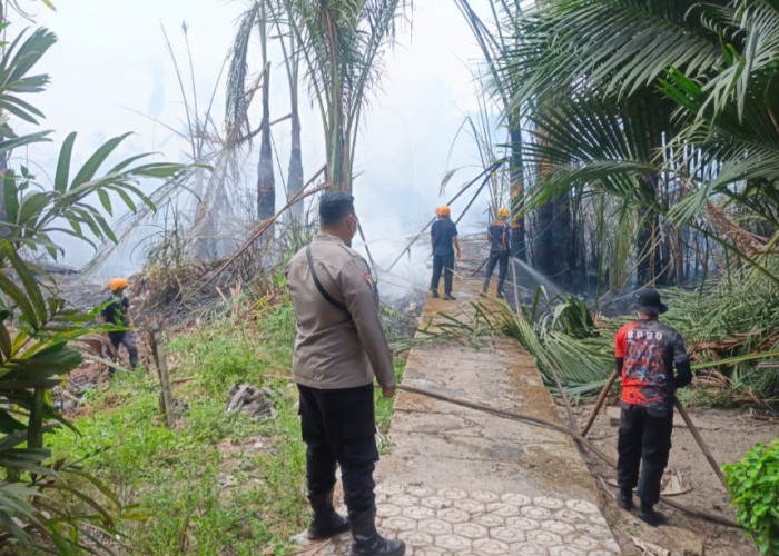Polres Bangka Tengah Tangani 3 Karhutla di Hari yang Sama, Total Sekitar 5,5 Hektare Berhasil Dipadamkan