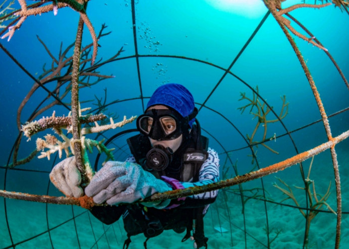 Menjaga “Jantung” Sunda Shelf