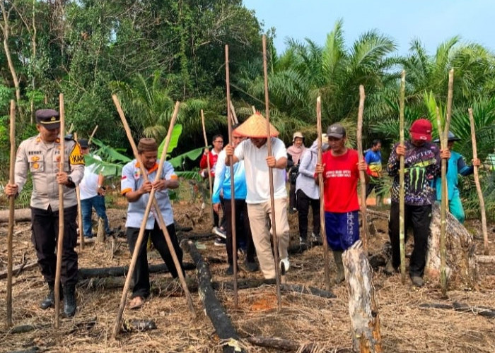 Bupati Fery Insani Turun Langsung Nugal Padi Ladang Bersama Warga Desa Labu