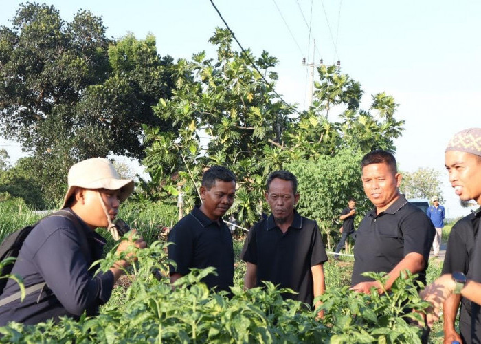 Dukung Program Ketahanan Pangan, Bank Indonesia Tingkatkan Kompetensi Petani se-Bangka Belitung