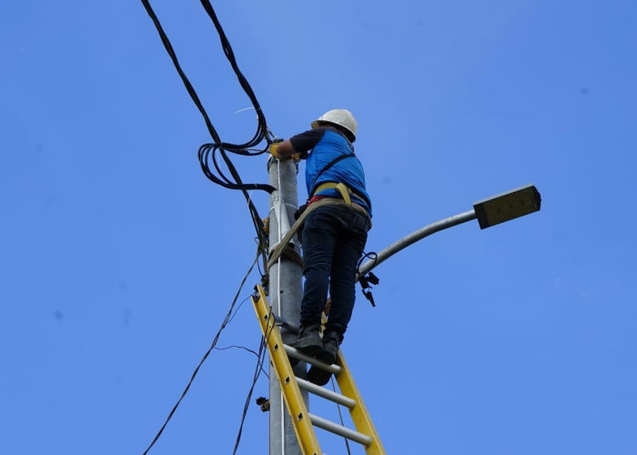 PLN Dukung Pertumbuhan Industri Veneer dan Biomassa di Belitung Timur, PT Babel Energi Gunakan Daya 690 kVA