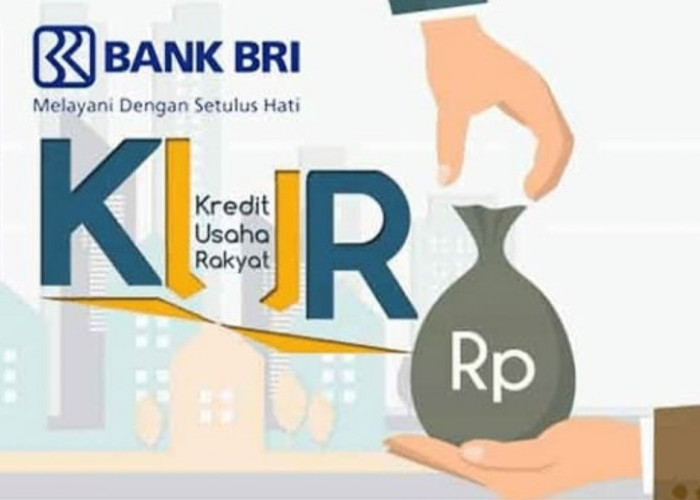 KUR BRI Permudah Kembangkan Usaha, Bunga Kecil Pencairan Cepat 