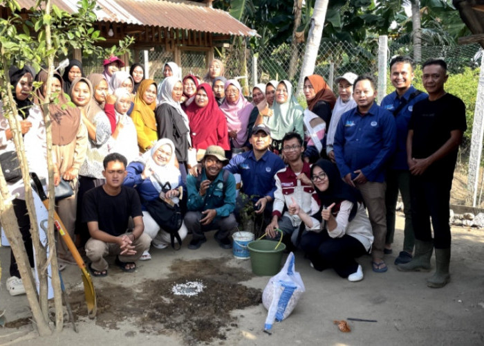 Dari Sampah Menjadi Harapan: Kiprah Universitas Bangka Belitung Memberi Inovasi Pengelolaan Sampah 
