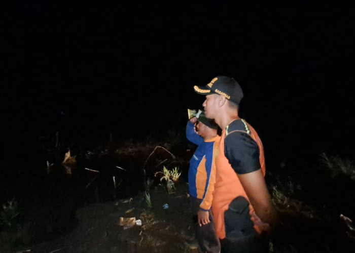 Penambang Diserang Buaya di Sungai Pelaben