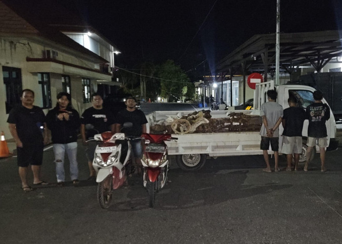 Tim Kelambit Bongkar Kasus Pencurian Alat Berat di Sungailiat, Tiga Pelaku Termasuk Penjaga Gudang Diringkus