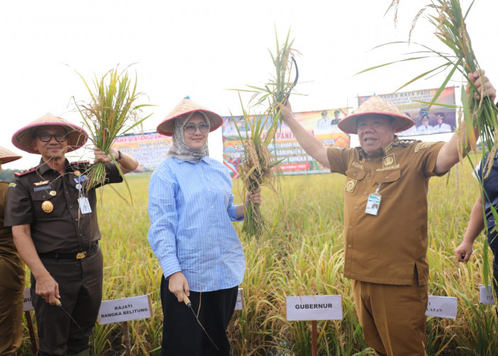 Pesta Panen di Persawahan Lisum Sejahtera, Gubernur Hidayat: Bukti Semangat Petani Desa Bukit Terap
