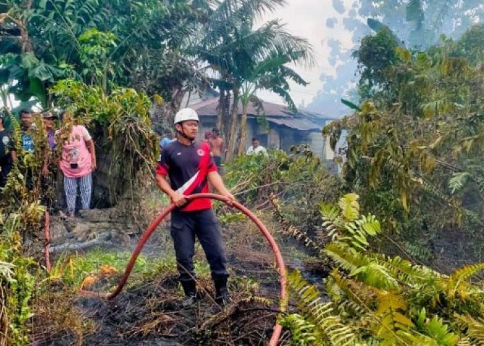 Karhutla Mulai Marak di Belitung, 6 Kasus Tercatat dalam Sepekan