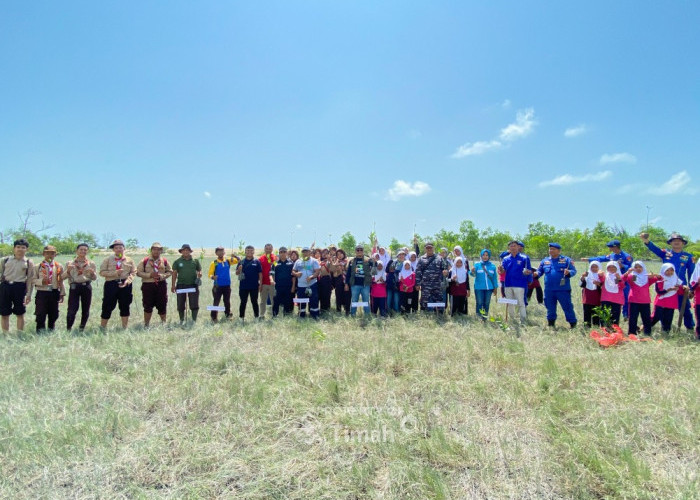 Jaga Ekosistem Pesisir, PT Timah Bersama HNSI Bangka Tanam Ribuan Mangrove di Nelayan II Sungailiat 