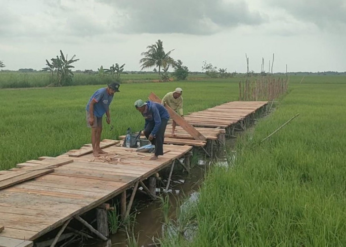 Desa Rias Disulap Jadi Wisata, Sekda : Kombinasi Ketahanan Pangan dan Pariwisata 