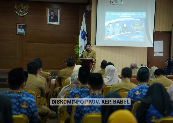 Menilik Peran DKP Babel Majukan Sektor Kelautan dan Perikanan di Ku Cinta Babelku 