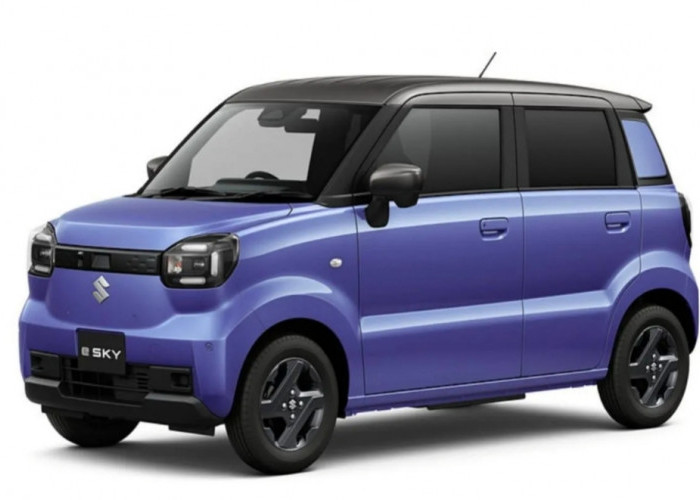 Suzuki Siapkan Mobil Listrik Mungil Seharga 175 Juta