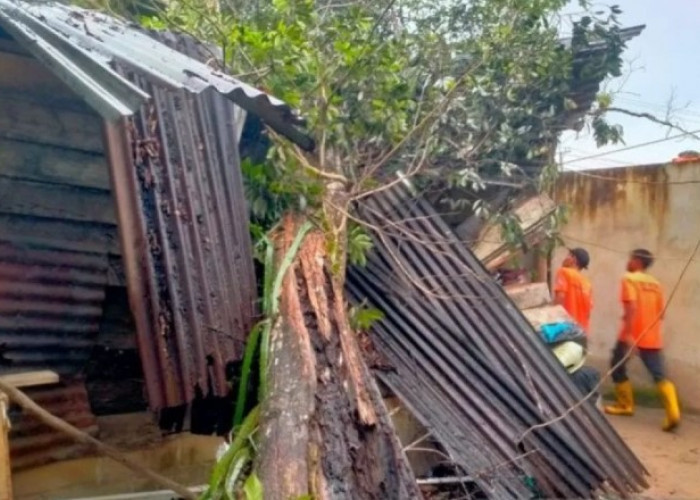 BPBD Minta Masyarakat Bangka Belitung Waspada Angin Kencang Selama Musim Hujan