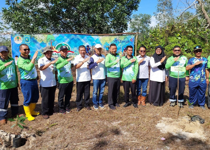 Peringati Hari Menanam Pohon Indonesia, DLH Belitung-PT Timah Tbk Tanam Pohon di Lahan Bekas Tambang 
