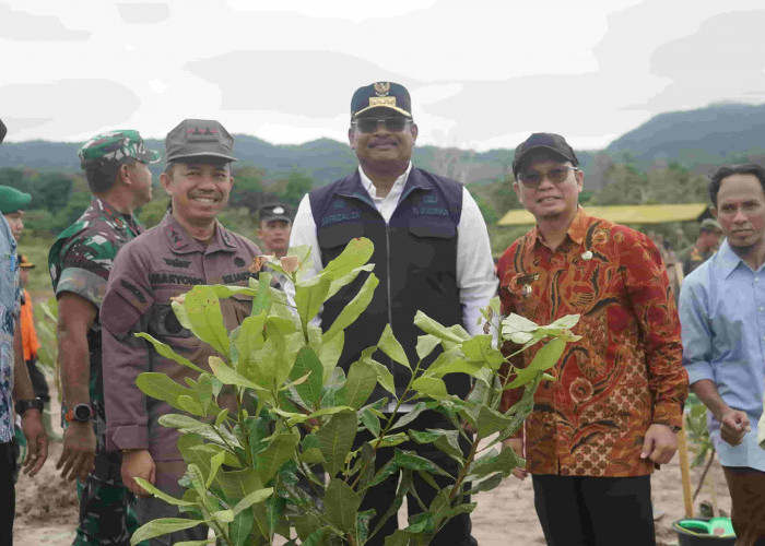 Bangka Tengah Lestarikan Lingkungan, 2500 Bibit Pohon Ditanam Korem 0414/Bangka