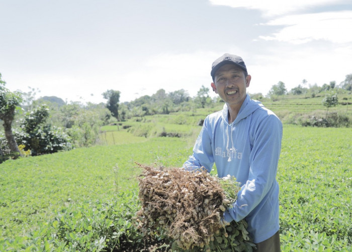 Desa BRILiaN Tompobulu: Bukti Nyata Sinergi Potensi Lokal dan Digitalisasi Dorong Pertumbuhan Ekonomi