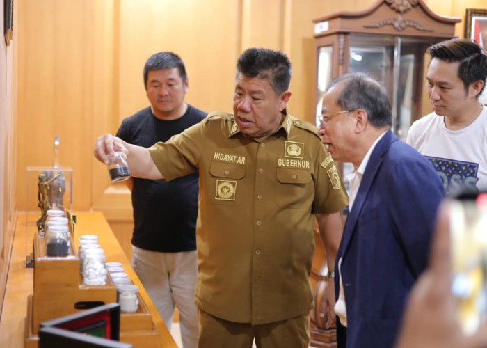 Investor Lirik Potensi Bangka Belitung untuk Berinvestasi