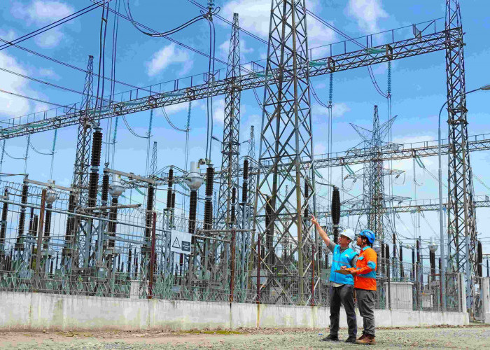 Rekrutmen Nasional PLN 2025: Panggilan Generasi Muda Menuju Transisi Energi