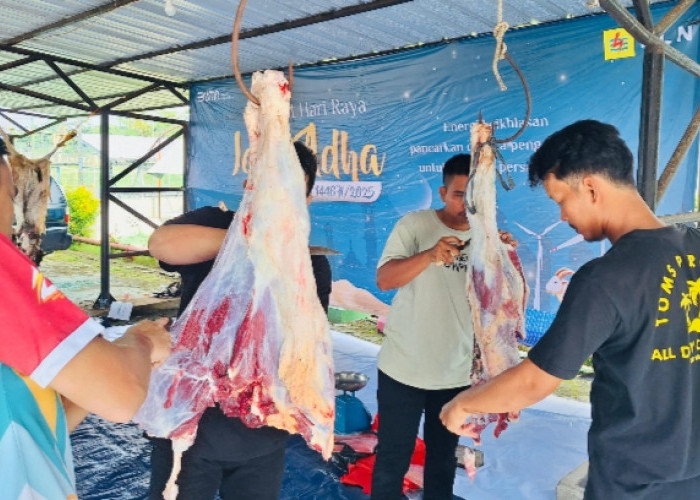 PLN Babel Bagikan Lebih dari Seribu Paket Daging Kurban dalam Momen Iduladha 1446 H
