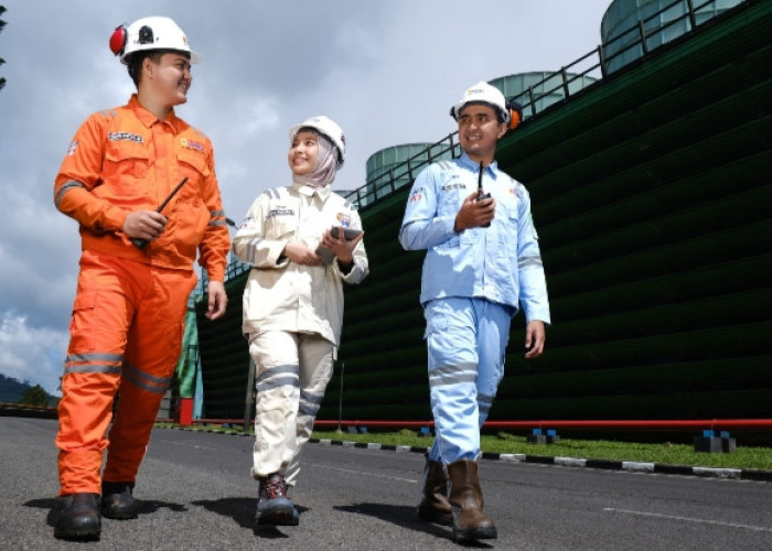 RUPTL Terbaru Berpotensi Tawarkan 91 Persen Green Jobs dari Sektor Pembangkit Listrik