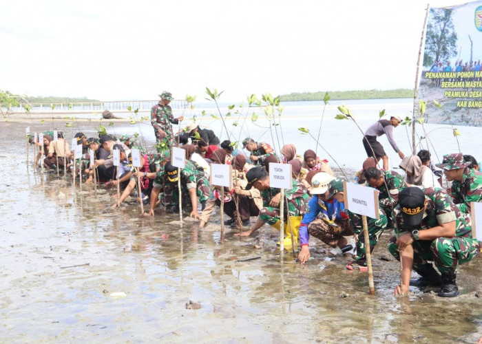 Lestarikan Alam, Kodim Basel Tanam 1000 Batang Mangrove di Kawasan Ini 