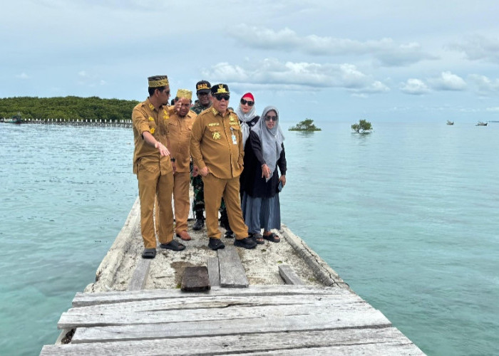 Respon Cepat Gubernur Hidayat Arsani Tinjau Dermaga Rusak Pulau Kelapan