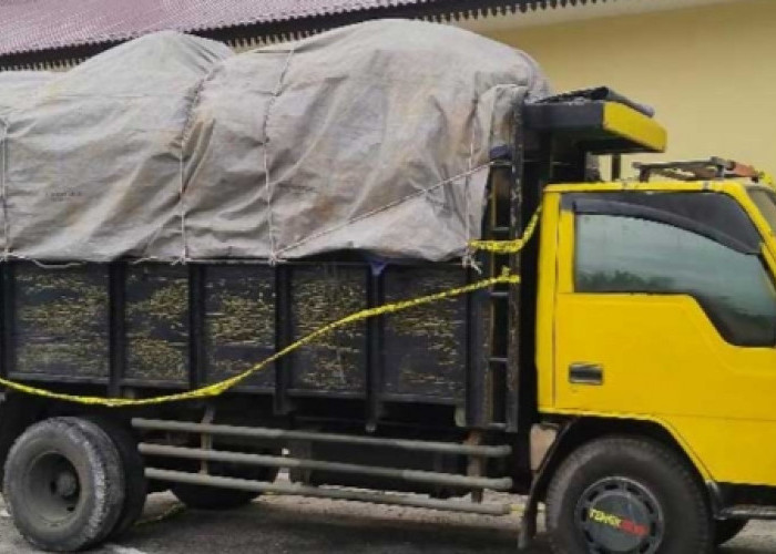 Kasus Penyelundupan Timah Ilegal, Bos Pemilik Modal Harus Jadi Tersangka