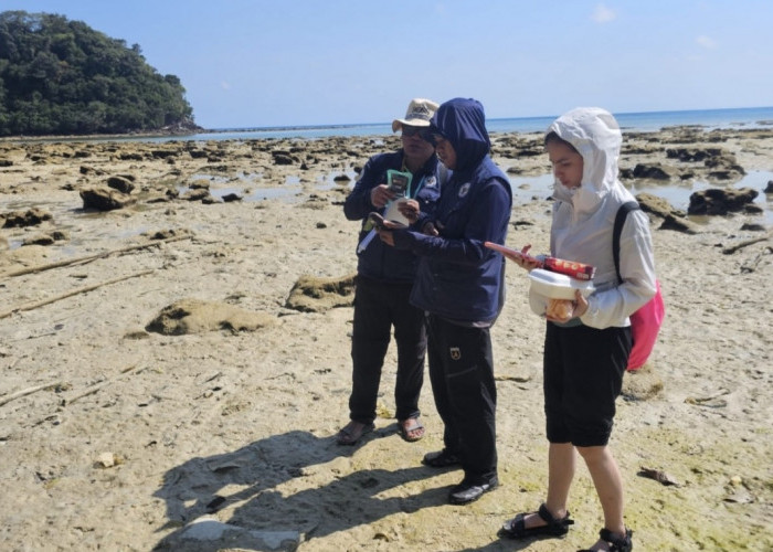 Pertama Dalam Sejarah, Persetujuan Evaluasi Tapak PLTN di Pulau Gelasa Diterbitkan, Ini Tahapan Selanjutnya
