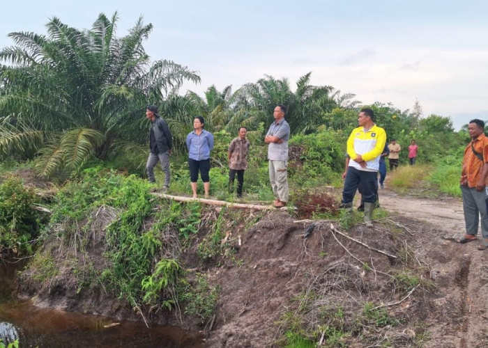 Sawah LP2P Limus Berubah Diduga Jadi Lahan Sawit, Rina Tarol Minta APH Sikat Mafia Tanah