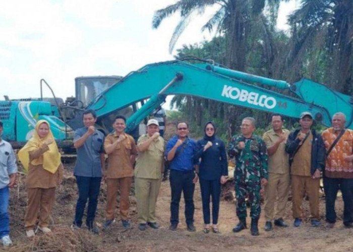 58,3 Hektare Sawit Rakyat di Belitung Diremajakan, Produktivitas Petani Jadi Target